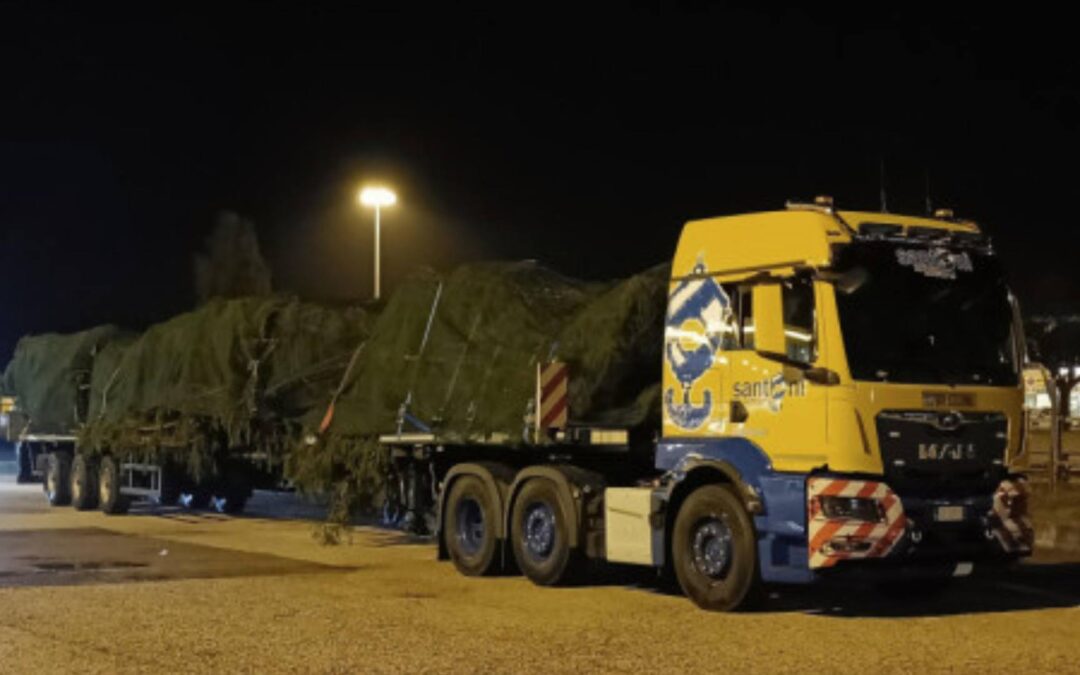 MAN brengt kerstboom voor de paus